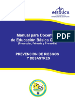 ManualPrevencionRiesgo.pdf