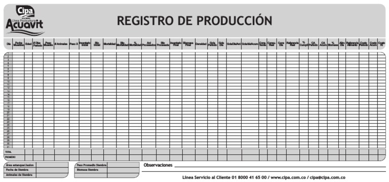 Formato Registro de Produccion