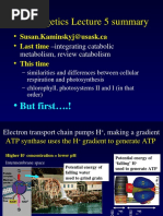 Bioenergetics 050307