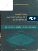 Sinergetica Paul Constantinescu