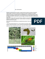 Resumen de Plagas y Enfermedades de Pinos