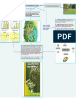 Analisis de Rentabilidad de Un Predio