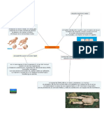 Aplicaciones de Los Dipositivos