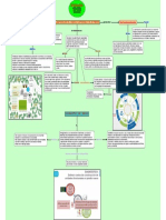 Planificacion Del Manejo Sustentable Diagnostico Del Predio Mapaconceptual