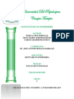 ENSAYO DE PATOLOGIAS.pdf