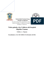 Informe - Visita Tecnica Calderos Hospital Hipolito Unanue