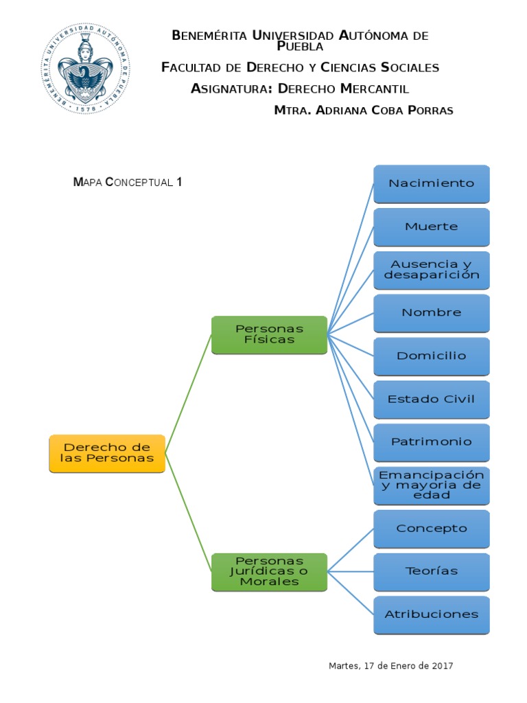 Mapa Conceptual de Personas Jurídicas y Físicas | PDF
