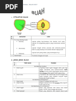 Download Struktur Buah by Annisa AR SN337757552 doc pdf
