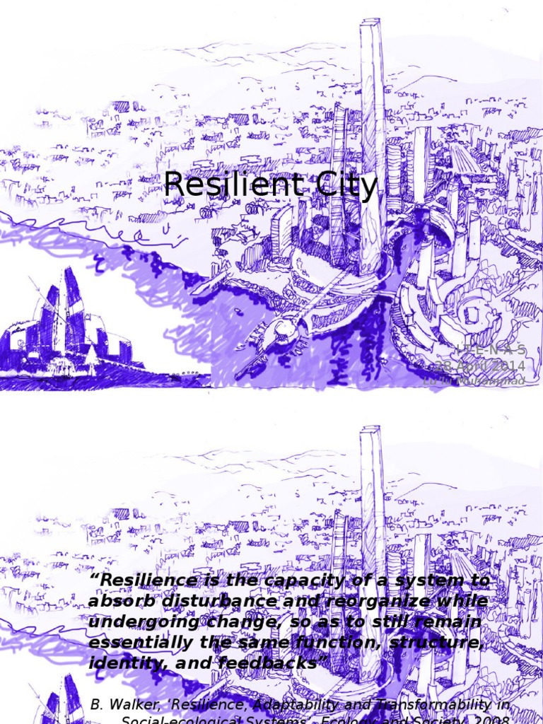 Resilient City PDF Disaster Risk Reduction Emergency Management