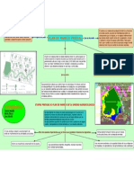 Plan de Manejo Predial Etapas Previas Mapa Conceptual