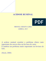 3. Acidose Ruminal - Saraiva Lima
