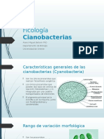 Ficología 2 Cianobacterias