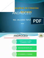 Androceo y Gineceo