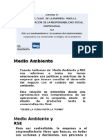 Rse y Medio Ambiente (1)