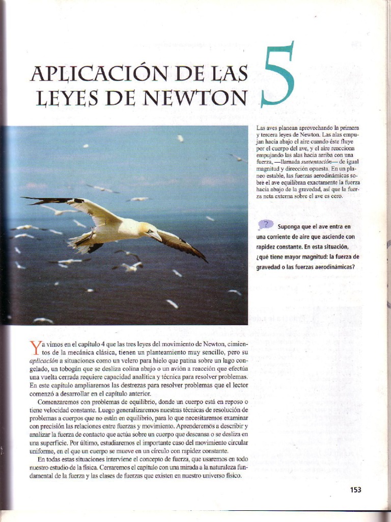 Capitulo 6 Sears Pdf