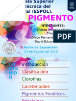 [2016.08.23] Alcívar_Guzmán_Hugo - Pigmentos.pptx