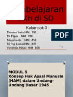 Presentasi Modul 5 & 6 PKN