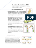 ESP Sistema de Control de Estabilidad