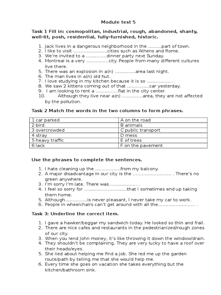 Vocabulary and Phrase Matching Test | PDF