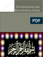 Pembentukan Dan Remodeling Tulang