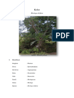 Deskripsi Tanaman Kelor Moringa Oleifera PDF