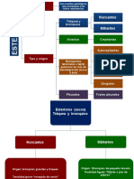 Respiratorio y Estertores