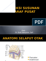 Infeksi Susunan Saraf Pusat