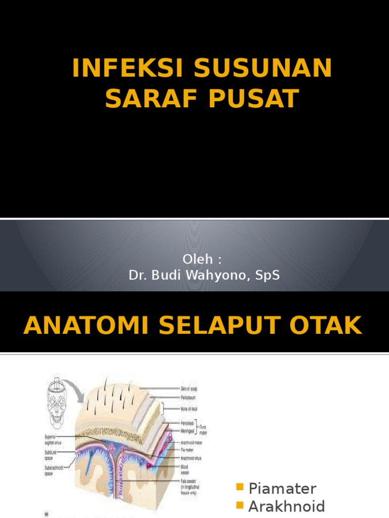 INFEKSI SUSUNAN SARAF PUSAT pptx INFEKSI SUSUNAN SARAF PUSAT pptx