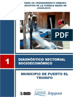 POU BJ PT Diagnóstico PDF