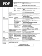 FUNÇÕES SINTÁTICAS