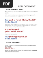 Perl Document