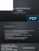 HSV & Endocervical Swab