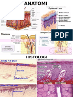 Anatomi, Histologi & Fisiologi