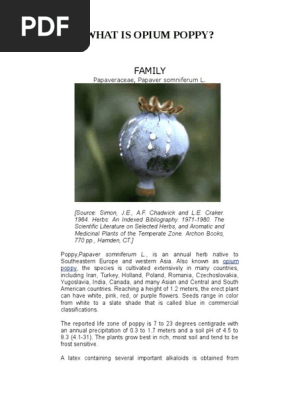 What is Opium Poppy
