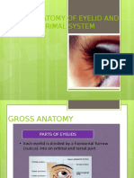 Anatomy of the Eyelid and Lacrimal System