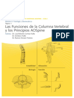 Funciones y Biomecanica Spine copia.pdf