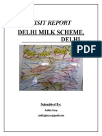 Delhi Milk Scheme