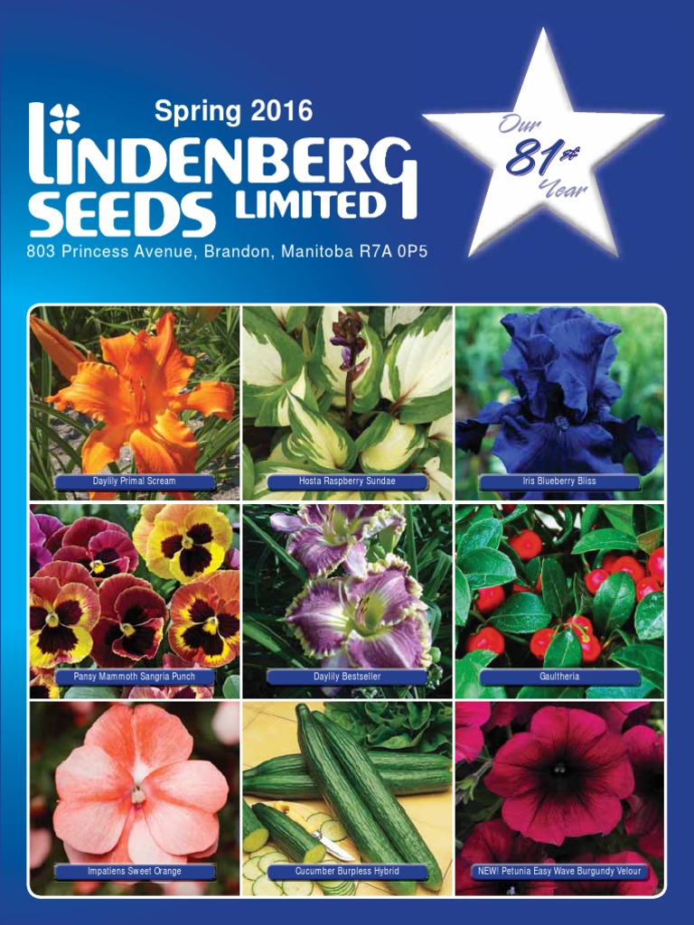 new balance 769 dames 2016