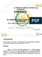 El agronegocio asociativo campesino en la cadena agroalimentaria de la papa (en Ecuador)