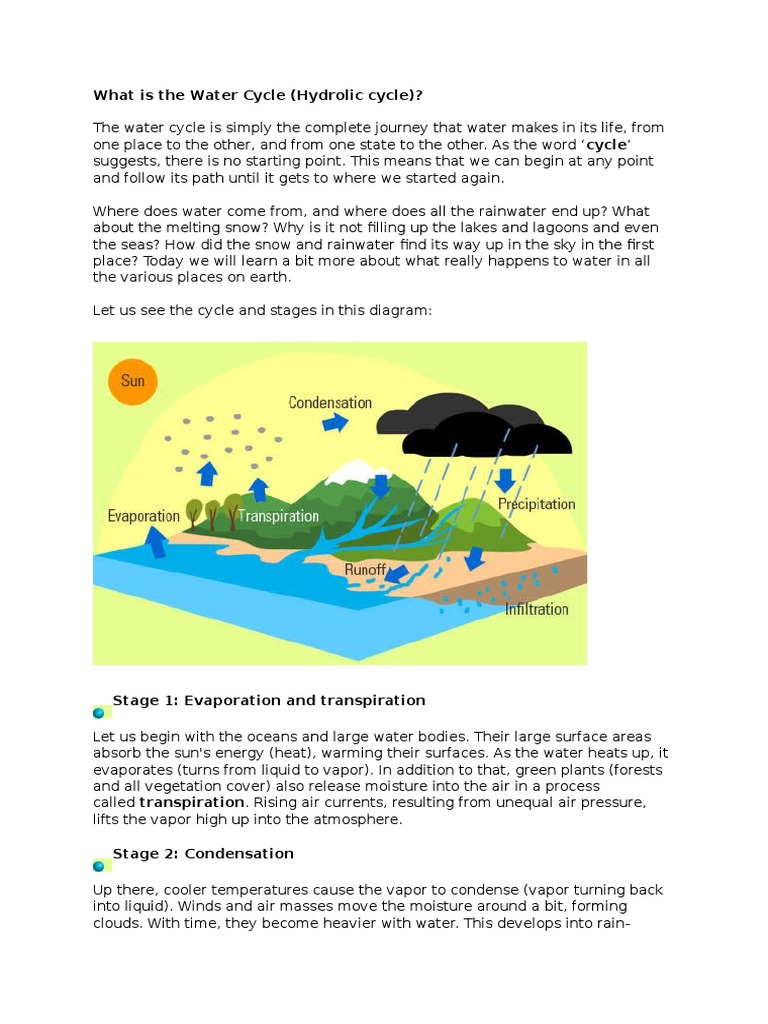 Water Cycle Explained: Stages & Processes | PDF | Science & Mathematics