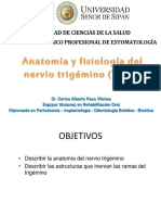 CLASE III Anatomía Del Nervio Trigémino-Dr Paco 2015