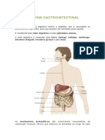 Sistema Gastrointestinal