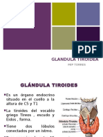GLANDULA TIROIDES