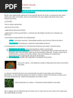 Citoesqueleto e Motilidade Celular