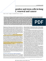 Alveolar Progenitor and Stem Cells in Lung