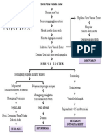 Pathway Herpes Zoster