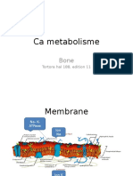 Ca metabolism and bone mineral homeostasis