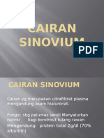 060114 - Cairan Sinovium