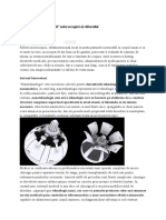 Nanotehnologia: "Ingerii" Microscopici Ai Viitorului