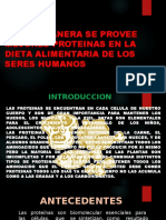 Las Proteinas Corregido